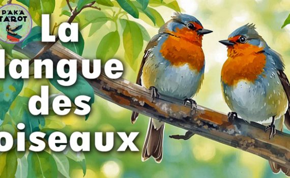 La langue des oiseaux dans le Tarot de Marseille
